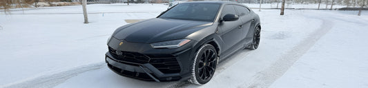 Does Paint Protection Film Protect Against Michigan Winter Damage?