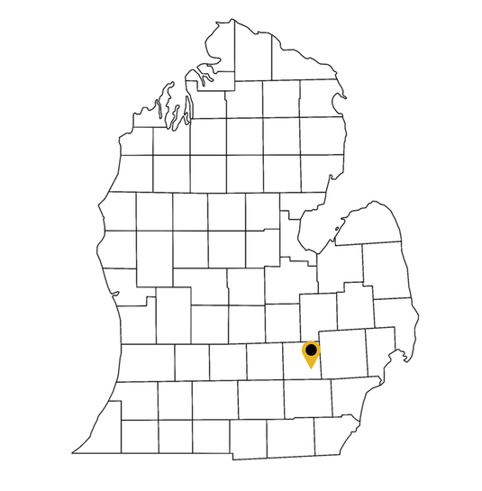 Car Wrap Shop Near Howell Michigan Elite Restyling